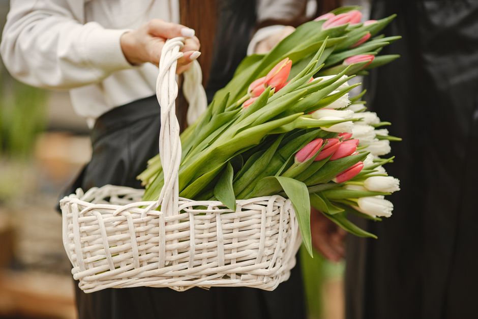 A person dressed in a white top is holding a white wicker basket filled with fresh tulips in shades of pink and white, with green stems and leaves. The tulips appear freshly picked, with smooth, sligh